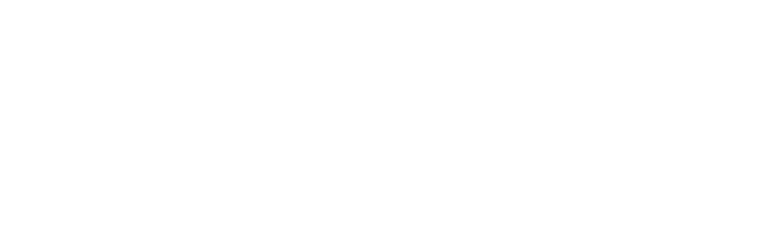 Braingig LLC